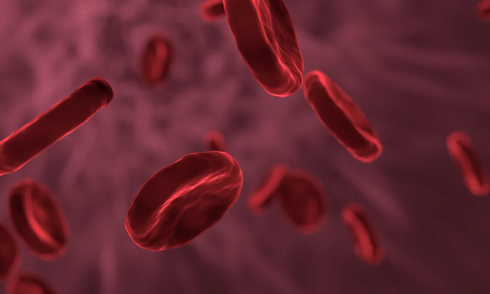 An illustration of red blood cells